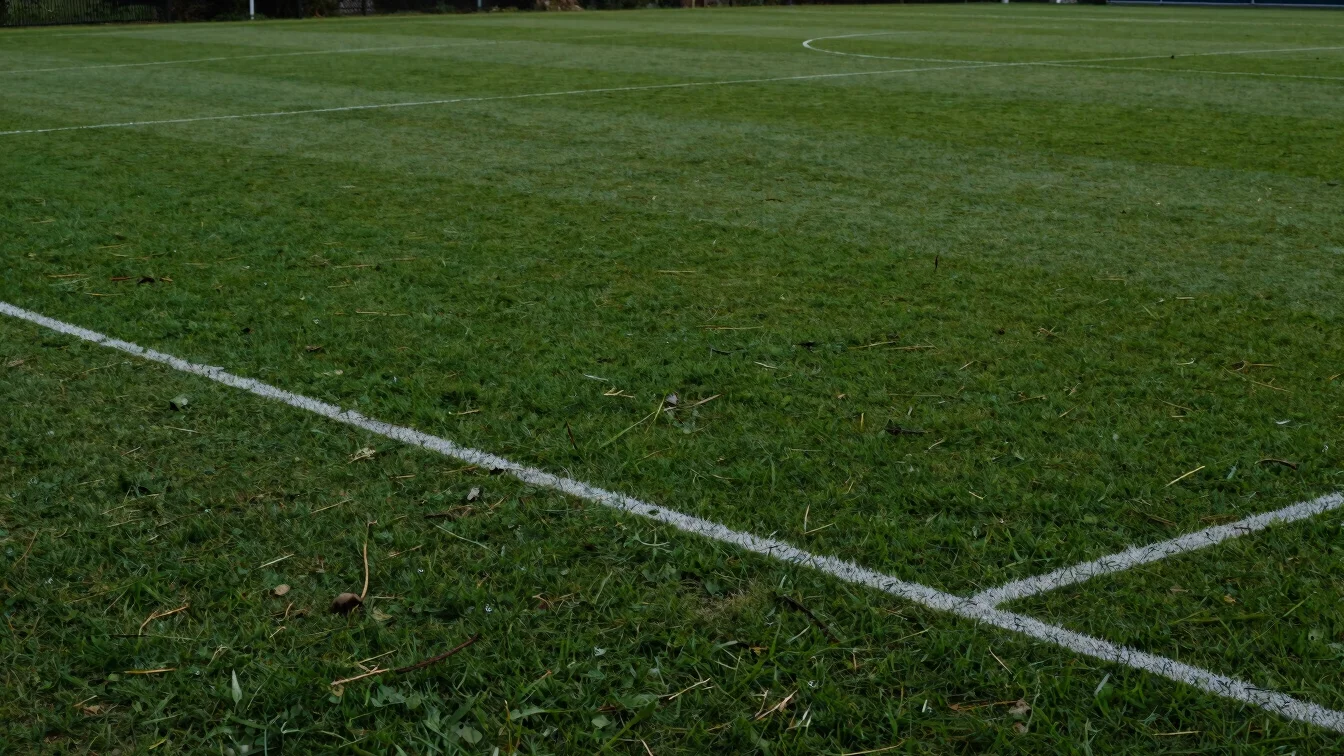 Detalle cercano de líneas de cancha reglamentaria con césped verd